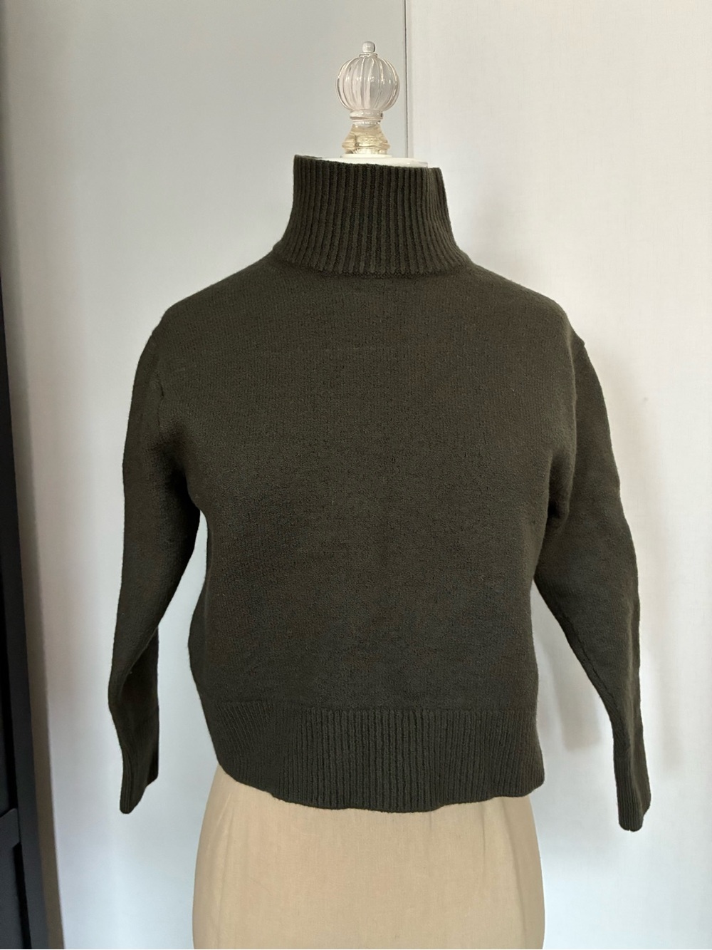Aritzia Olive Green Turtleneck Sweater